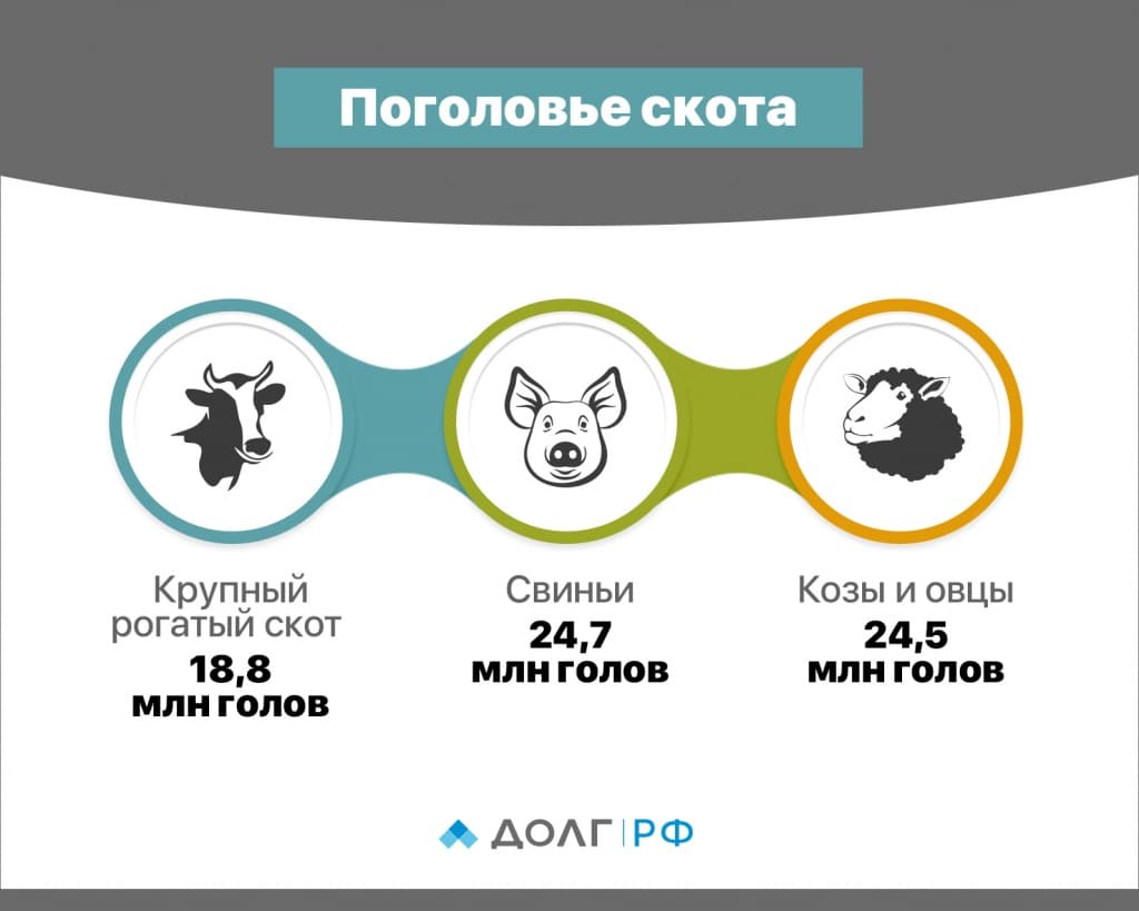 Инфографика_2_-_Поголовье_скота_(2).jpg